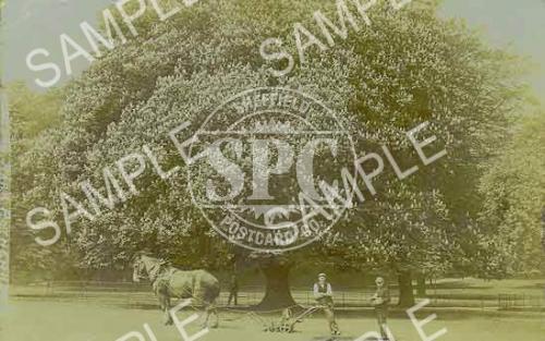 spc00008: Clifton Park, Rotherham (NR7)