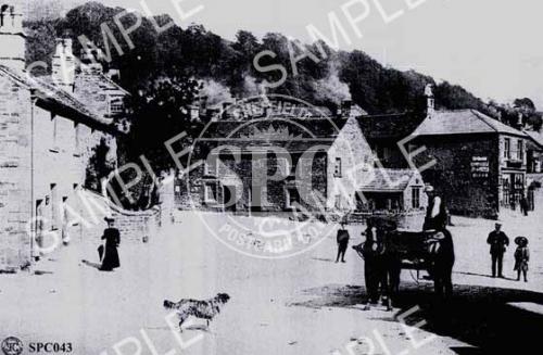 spc00043: Eyam (dog in foreground)