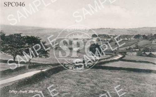 Totley from the Moss
