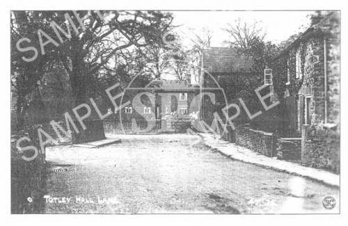 Totley Hall Lane