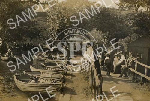 By the boating pond, Whiteley Woods (Forge Dam)