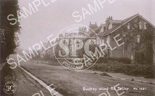 Bushey Wood Rd, Totley