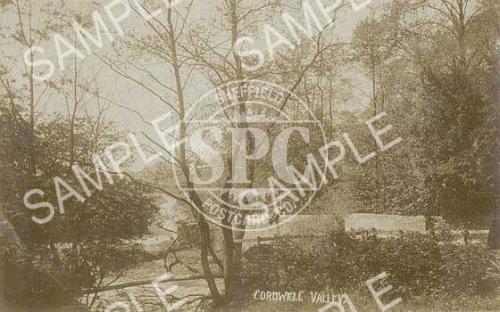 spc00146: Cordwell Valley (boy on bridge)