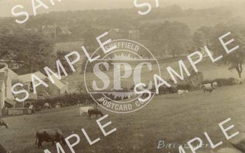 spc00175: Brincliffe, Sheffield