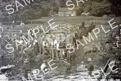 spc00208: Sheep washing at Howden House, Derbyshire
