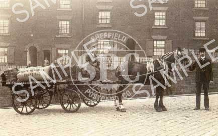 George Israel Crapper's horse-drawn delivery wagon c1913 (NT7)