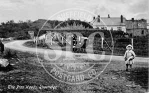 The Plas Woods, Rhosneigr