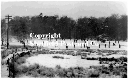 spc519: Longshaw - Skaters on pond