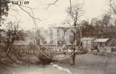 uid00012: Unidentified Image