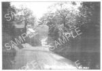 spc00053: Mickley Lane, Totley