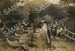 spc00075: By the boating pond, Whiteley Woods (Forge Dam)