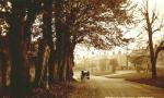 spc00228: Gt Longstone (PW) Car by trees.