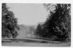 spc00464: Hermitage Pond, Hassop Park, Derbyshire