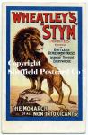 spc587: Wheatley's Stym - Lion