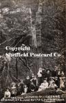 spc619: Oak Tree destroyed by Lightning, Birley Spa.