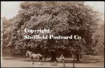 spc628: Horse Drawn Mower, Clifton Park, Rotherham